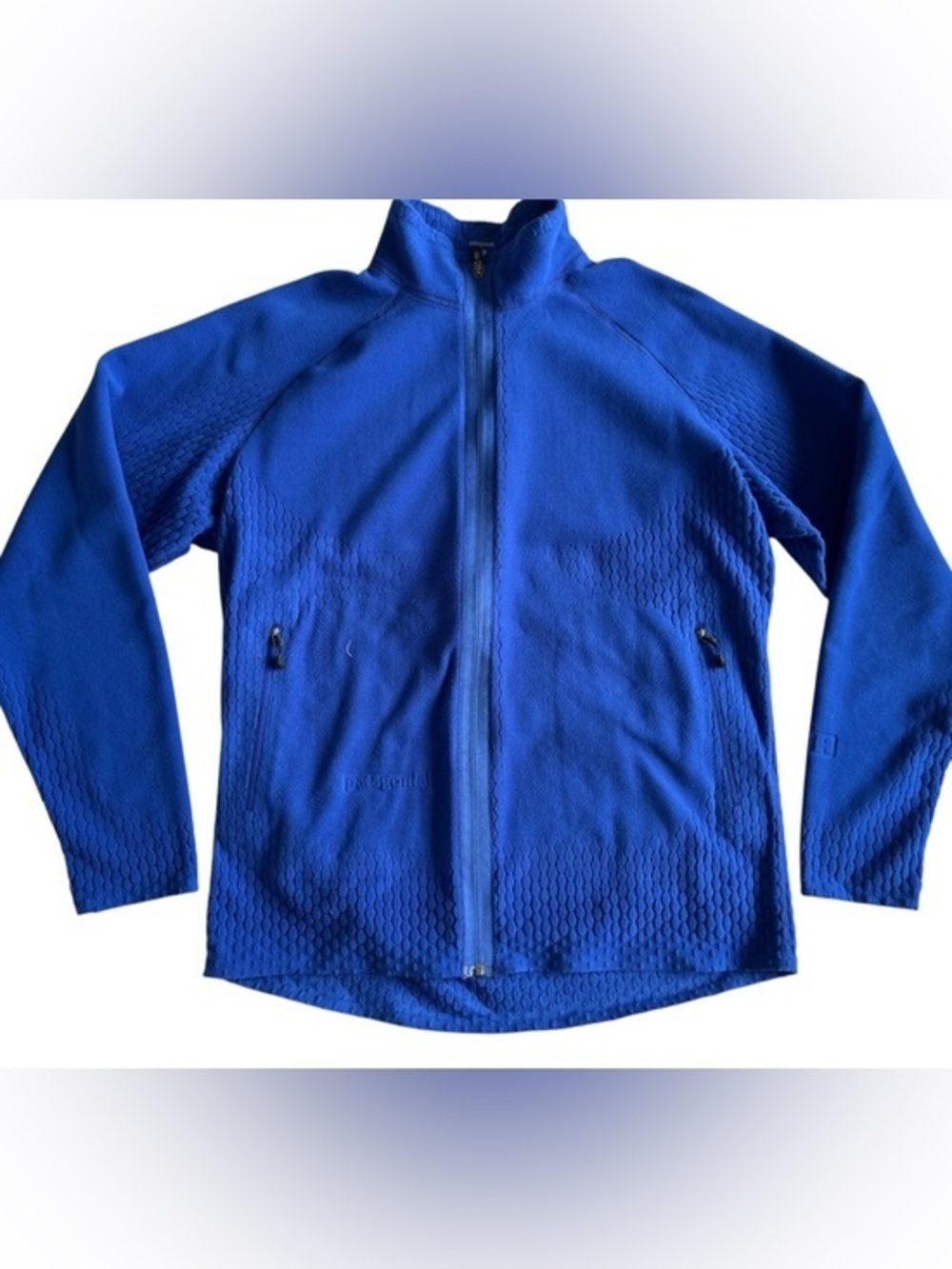 Patagonia Men's Blue Lightweight Full-Zip fleece